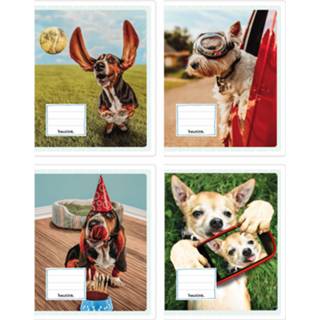 👉 Schrift Schriften - Gekke honden | Heutink Liniatuur 6-3-6 mm 25 stuks