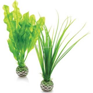 Plantenset groen klein BiOrb - 822728002155