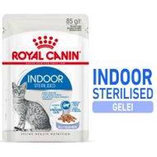 👉 24 x 85 g Royal Canin Indoor Sterilised in Gelee Katzennassfutter 9003579013861