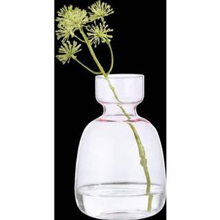 👉 Vaas glas roze Emma 14 cm. 8719911062015 2900075975013