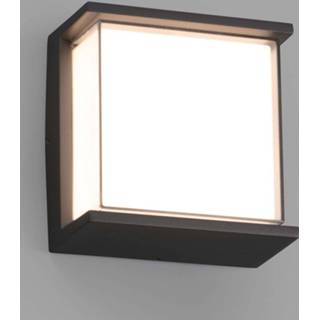 👉 Buitenwandlamp donkergrijs aluminium warmwit a+ LED Hikari, IK10