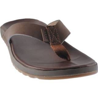 👉 Male bruin Reef Voyage/bronze