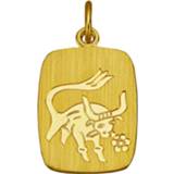 👉 Hanger legering geel vrouwen geelgoudkleur Sterrenbeeld KLiNGEL 4055705679033