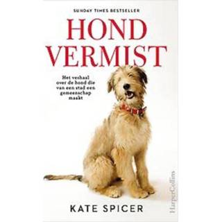 👉 Hond vermist. Spicer, Kate, Paperback 9789402706284