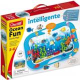 👉 Quercetti oceaanplezier Fish & Pegs 321-delig 8007905009697