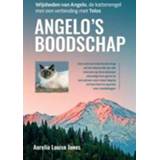 👉 Boodschappennetje Angelo's boodschap - Boek Aurelia Louise Jones (9460152074) 9789460152078