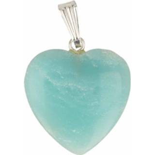 👉 Hanger amazoniet Hartvormige (20 mm) 8718561066442