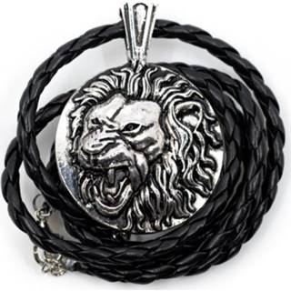 👉 Messing Amulet Leeuwen Kop 7448124233240
