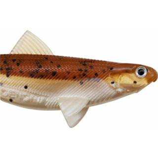 👉 Assorti Senshu Real Fin Shad 8 - Mix Pack 8cm 11g 4 Stuks 4251439333207