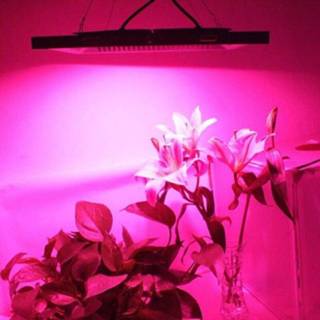 👉 1 stks COB LED 100 w 150 w ac220V high power Schijnwerper Bead DOB Chip volledige spectrum Roze plant groeien lamp licht anti Lightning 4KV - 380-840n