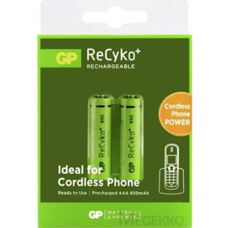 👉 1x2 GP ReCyko NiMH accu's AAA 650mAh DECT-telefoon Nieuw 4891199199554