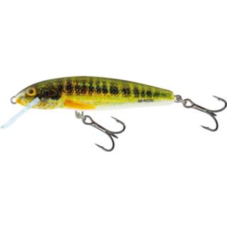 👉 One Size zilver Salmo Minnow Floating - Plug Holo Real 5cm 5902335373420