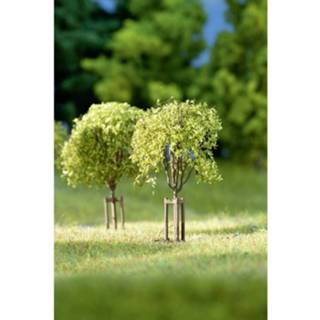 👉 Auhagen 70950 Set bomen Loofboom 23 tot 42 mm 10 stuk(s)