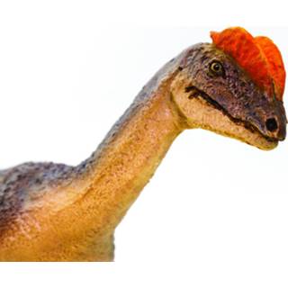 👉 Speelfiguur geel grijs kunststof One Size Safari Dilophosaurus Noveltie 16 x 7 cm geel/grijs 95866005085