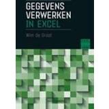 👉 Groot Gegevens verwerken in Excel. Wim de Groot, Paperback 9789463561679