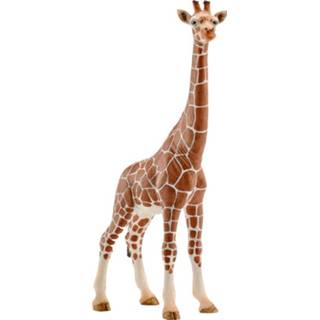 👉 Vrouwen Schleich Giraf vrouwelijk, speelgoedfiguur 14750.0 4005086147508