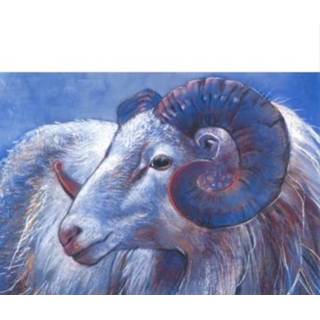 👉 Ansichtkaart Ram Model 2 - Loes Botman (Set van 5) 8717027011453