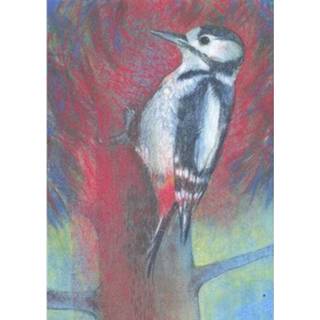 👉 Ansichtkaart klein Vogelboek Model 1 - Loes Botman (Set van 5) 9789060389997