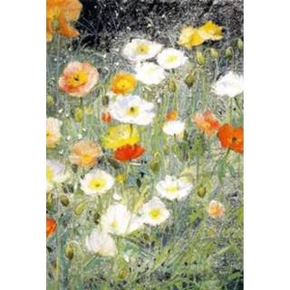 👉 Ansichtkaart IJslandse papavertjes - J. Hudig (Set van 5) 8717027001188