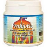 👉 Jacob Hooy Probiotic 60gr | 8712053308034
