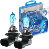 👉 Hoofdlamp wit 2x HB3 9005 100W Super White HOD Xenon Halogen Bulbs Car Headlight Lamp Lights Fog Auto Head Light Bulb