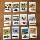 👉 Compact Flash geheugen baby's kinderen Montessori Baby Animal Cognitive Pair Cards Puzzle Toddlers English Learning Card Educational Toys For Kids Brinquedos