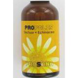 Prosana Propolistinctuur + Echinace... | 50ML 8716066400037