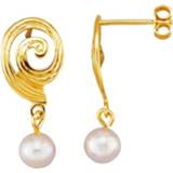 👉 Oorbel wit legering geel vrouwen aantrekkelijk design Oorbellen KLiNGEL 4055705808419