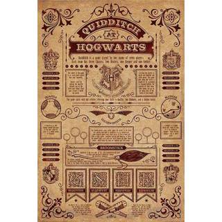 Poster unisex Hoofdmateriaa Papier meerkleurig Harry Potter - Quidditch at Hogwarts 5050574340670