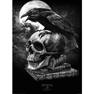 👉 Poster zwart wit unisex Hoofdmateriaa Papier Alchemy England - Poe's Raven 5050574342728