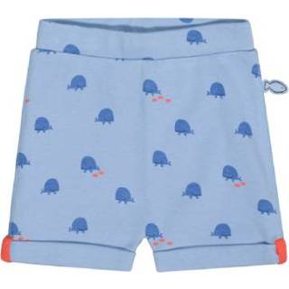 👉 Pasgeborene jongens blauw STACCATO Shorts slappe ocean 4333854801216