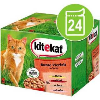 👉 Katten voer Kitekat Maaltijdzakjes Kattenvoer 24 x 100 g - Markt-mix in Gelei 4770608243197