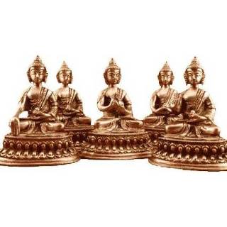 👉 Dhyani Boeddha Beeldjes - 10 cm (Set van 5 - 300 gram)