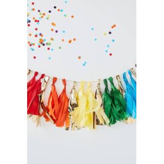 👉 Ginger Ray Rainbow Tassel Garland, Multi