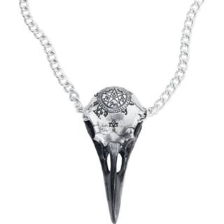 👉 Halsketting zilverkleurig unisex hoofdmateriaa tinlegering Alchemy Gothic - Volvan Raven Skull