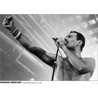 👉 Poster unisex Hoofdmateriaa Papier meerkleurig Queen - Freddie Mercury Wembley Arena, London 1984 4063909085840