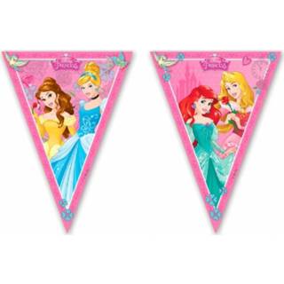 👉 Vlaggenlijn Set van 2x stuks Disney prinses vlaggenlijnen 2,3 m