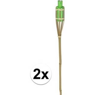 👉 Fakkel groene bamboe 2x Tuin decoratie met tank 65 cm