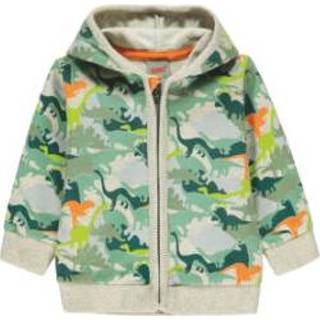 👉 Sweatshirt babymode jongens kleurrijk KANZ met capuchon, /multi allover color ed 4062108157570