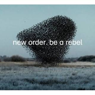 👉 Vinyl New Order - Be A Rebel, (Single Vinyl). MSINGLE 5400863037413