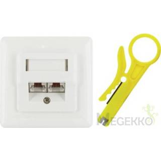 👉 Wandcontactdos wit Schwaiger TDU2628532 wandcontactdoos RJ-45 4004005505771