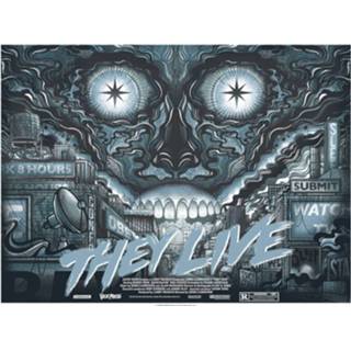 👉 They Live Variant Screenprint by Drew Millward