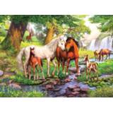 👉 Puzzel Ravensburger Wilde paarden bij de rivier 4005556129041