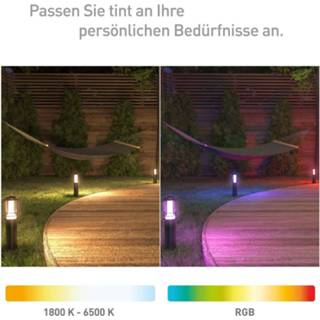 👉 Buitenlamp zwart IOS app a+ c grondspiezen Amazon Alexa Müller Licht tint Petunia LED tuinlamp per 3 set