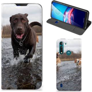 👉 Motorola Moto G8 Power Lite Hoesje maken Honden Labrador 8720215058611