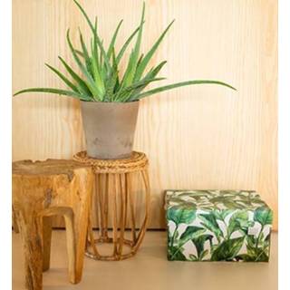 👉 Donkergroen Multi Color Dutch Design Storage Box Green Leaves 9789490750763