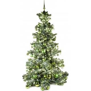 👉 Donkergroen Basic Tree Refreshing Green 180cm 7438243568552