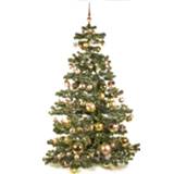 👉 Basic Tree Golden Mocca 210cm 7438243567517