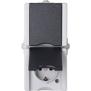 👉 Wandcontactdos male grijs Baseline wandcontactdoos 2-voudig met randaarde spatwaterdicht 8711216327950