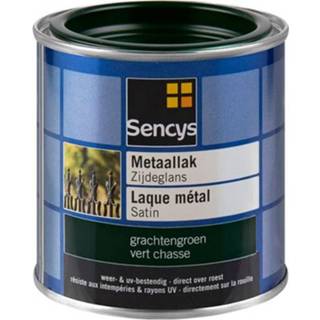 👉 Metaal verf male Sencys metaalverf zijdeglans grachtengroen 250ml 8711216406082